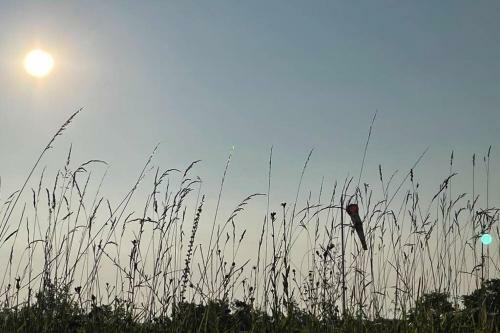 Gite Jeanroy A Cheerful 2 Bedroom Rural Gite