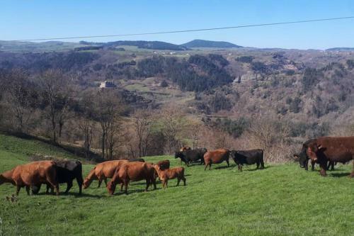 Macquart P.o.a. Ranch G�te De 2 � 8 Pers