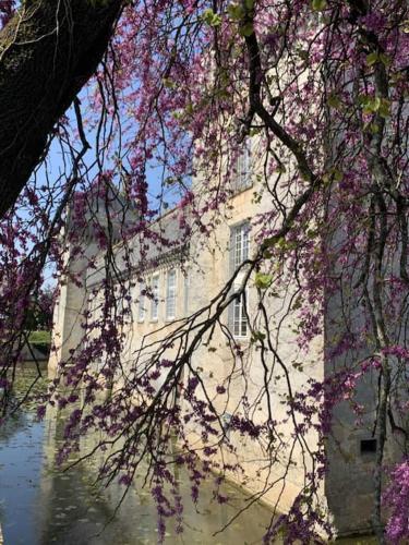 Apartamento Un S�jour D'exception Au Logis Du Ch�teau