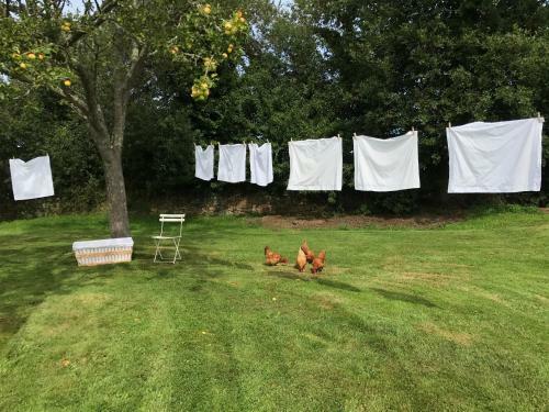 Hostal Manoir Des Petites Bretonnes