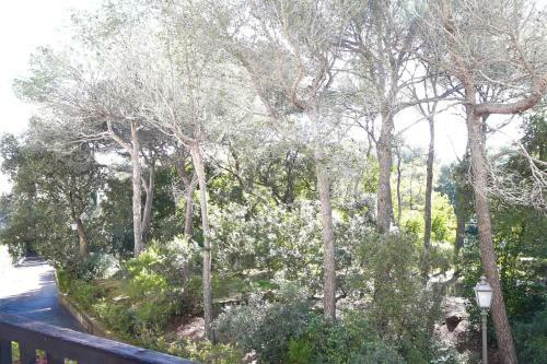 Apartamento Nice 35m At 450m From The Beach