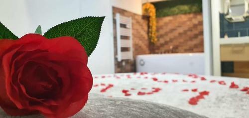 Hotel Love Rooms de La Presqu'�le