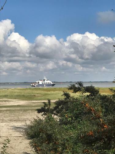 Au 10 Quai Violette