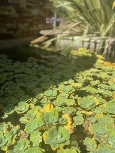 Les G�tes de La Fontaine de Jonquier