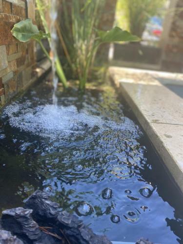 Les G�tes de La Fontaine de Jonquier