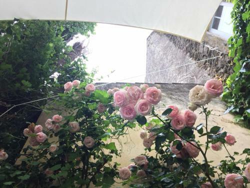 Bed & Breakfast Les Aigui�res En Provence