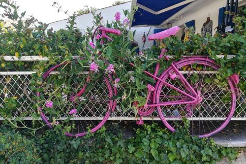 En Plein Coeur de Talmont, Maison Esprit R�tais