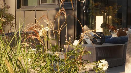 Bed & Breakfast Les Terrasses de Templeuve