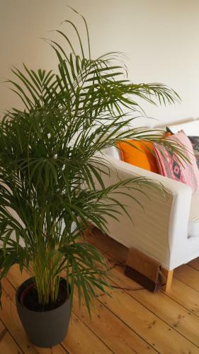 Bed & Breakfast Les Terrasses de Templeuve