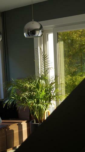 Bed & Breakfast Les Terrasses de Templeuve