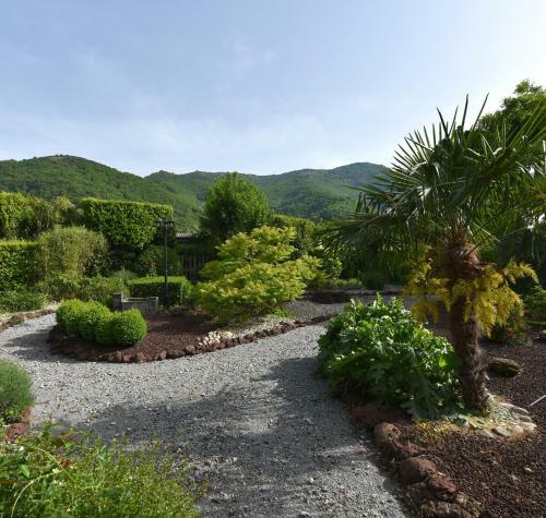 Hotel H�tel Et Appartements Les Platanes