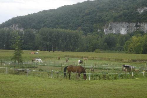 Hostal Paysannerie Des Versanes - Chambres Et G�te