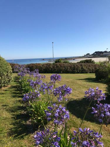 Apartamento Rez de Jardin Piscine Et Plage