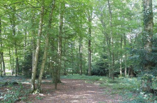 Bed & Breakfast Manoir de La Camusi�re