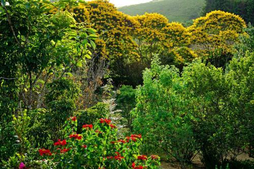 Hostal Pousada N� Da Madeira