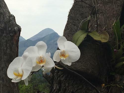 Hostal Pousada Alto Itaipava