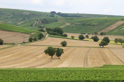 Apartamento Entre Bourges Et Sancerre, Vacances Relaxantes