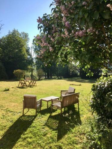 Bed & Breakfast Ch�teau Du Theuil
