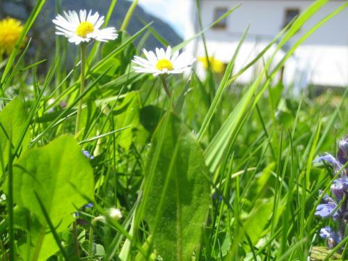 Agroturismo Urlaub Am Heubauernhof K�ck