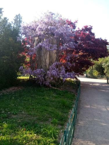 Apartamentos Appartement Fran�ois 1er