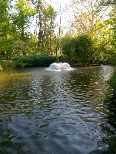 Apartamentos Appartement Fran�ois 1er