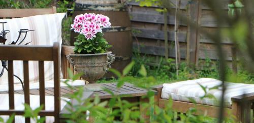 Bed & Breakfast Chambres Peyroutas "am�lie"