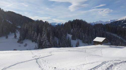 Hostal Wirtshaus Zum Wiesejaggl