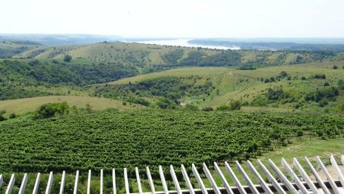 Seven Generations Winery Hotel