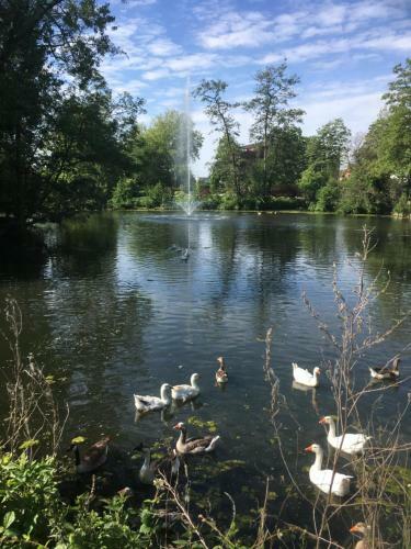La Bigoud�ne