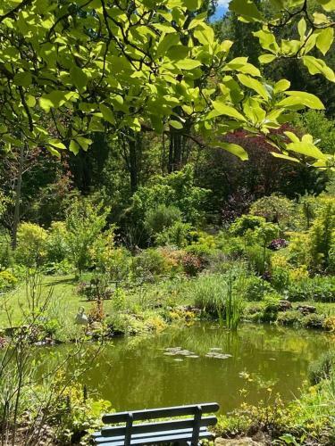 Bed & Breakfast La Haie � Cerf