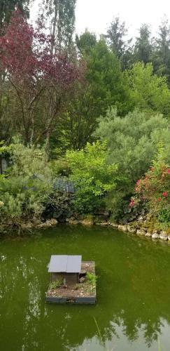 Bed & Breakfast La Haie � Cerf