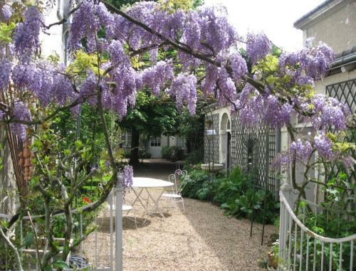Bed & Breakfast Le Belv�d�re