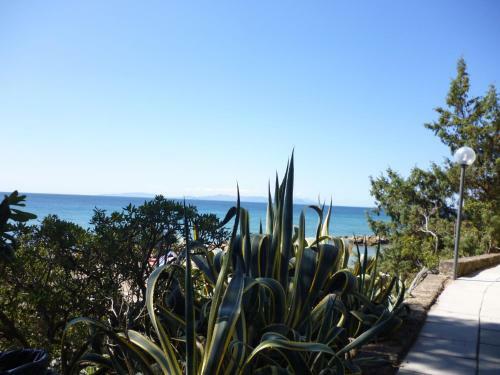 Apartamento Albergo Baia Etrusca
