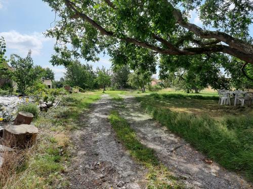 Agroturismo Le Domaine Des Anges