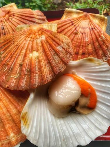 Apartamento Cap Houses Fleur de Mer