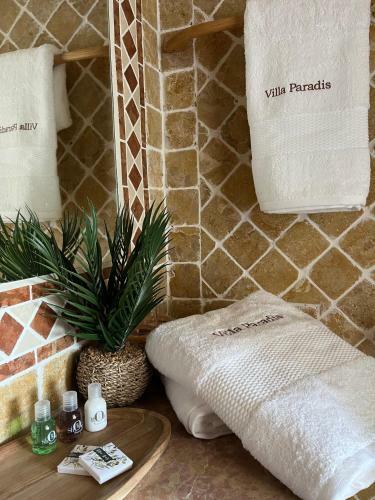 Hotel Villa Paradis