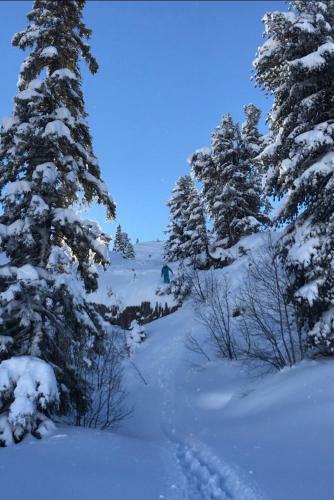 Hotel H�tel Lapiaz & Spa - Flaine