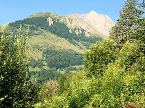 Chalet De 3 Chambres Avec Sauna Et Wifi A Arrens Marsous