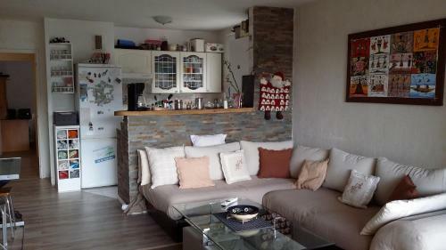 Apartment Face Aux Pistes