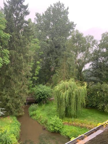 Bed & Breakfast Moulin de Champrond -montmirail -sarthe