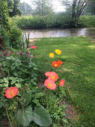 Bed & Breakfast Moulin de Champrond -montmirail -sarthe