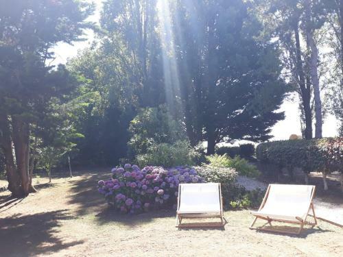 Maison Proche 24h Du Mans Baln�o Billard Borne D'arcade