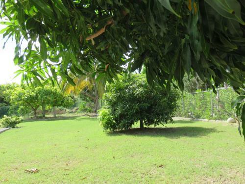 Bed & Breakfast Manuae House Of Birds