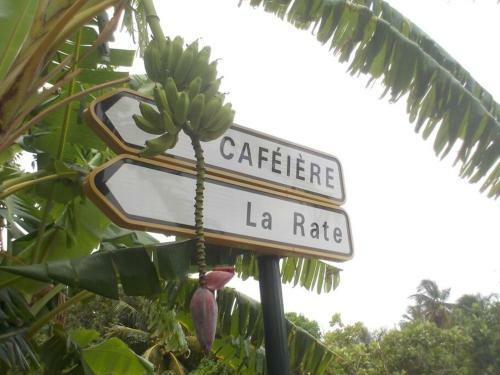 Gite � 2 Pas de La Flamboyante Plage de La Perle