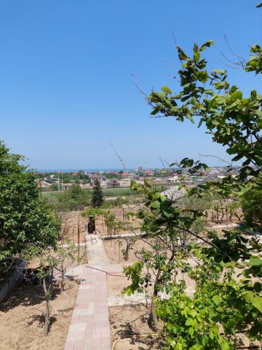Villa Mini_villa_novkhani