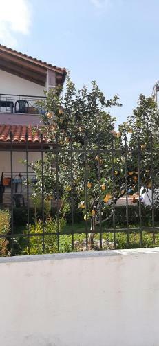 Apartamento Vila Melisa Ksamil