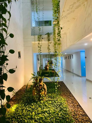 Apartamento Morros Epic Luxury