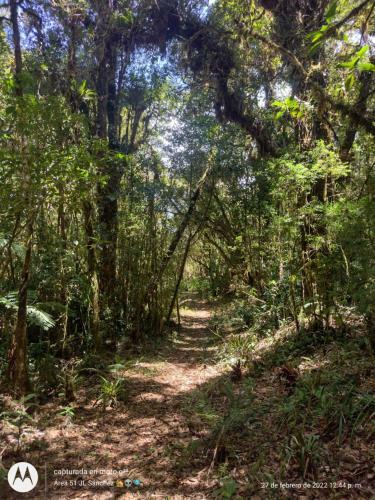Lodge Caba�as de Monta�a �rea 51