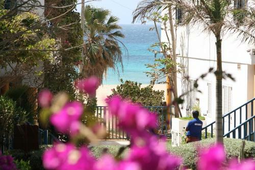 Apartamento Leme Bedje Fronte Spiaggia