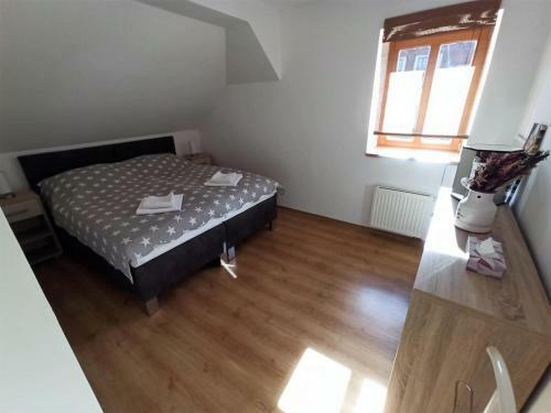 Apartmany U Lva